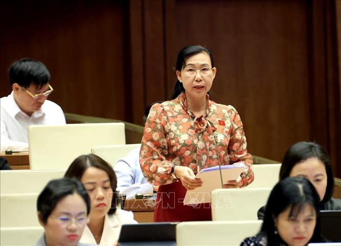 Đại biểu Quốc hội tỉnh Tây Ninh Phan Thị Mỹ Dung phát biểu. Ảnh: Tuấn Anh - TTXVN