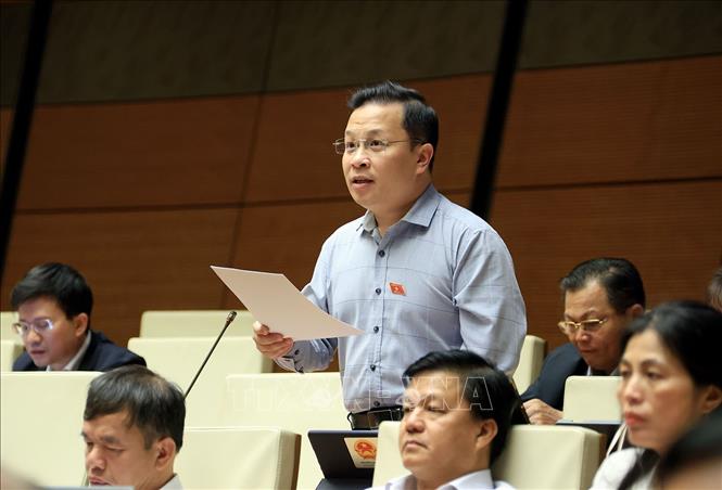 Đại biểu Quốc hội tỉnh An Giang Nguyễn Danh Tú phát biểu. Ảnh: Tuấn Anh - TTXVN