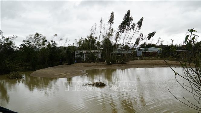 Vỡ đê Luật Lễ gây ngập nặng ở vùng hạ lưu. Ảnh: Sỹ Thắng-TTXVN
