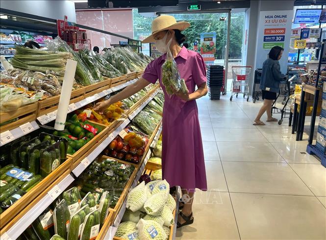 Người dân có nhiều lựa chọn rau xanh, giá cả bình ổn tại siêu thị trên địa bàn TP. Hồ Chí Minh. Ảnh: Hương Giang - TTXVN