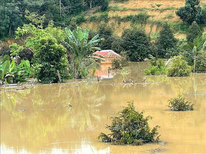 Nhà và vườn cây tại xã Phước Sơn bị ngập. Ảnh: K GỬIH-TTXVN