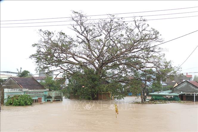 Nhiều khu dân cư dọc Quốc lộ 1A, đoạn qua phường Tuy Hòa ngập sâu trong nước lũ. Ảnh: Tuấn Anh - TTXVN