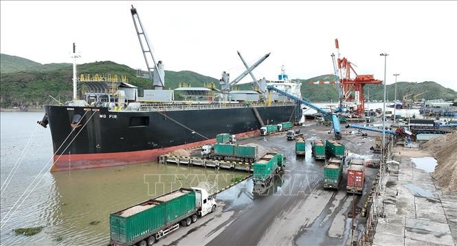 Hoạt động bốc xếp hàng hoá xuất khẩu tại cảng Quy Nhơn, tỉnh Gia Lai. Ảnh: Vũ Sinh - TTXVN