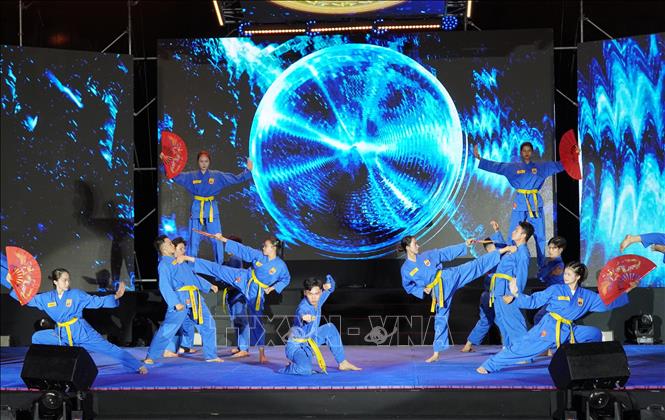 Màn biểu diễn Vovinam tại Liên hoan Võ thuật quốc tế TP. Hồ Chí Minh 2025. Ảnh: Trung Tuyến - TTXVN