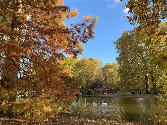 Cạnh Cung điện Buckingham là Công viên hoàng gia St. James’s, điểm đến không thể bỏ qua với du khách tới City of Westminster. Ảnh: Minh Hợp-Phóng viên TTXVN tại Anh