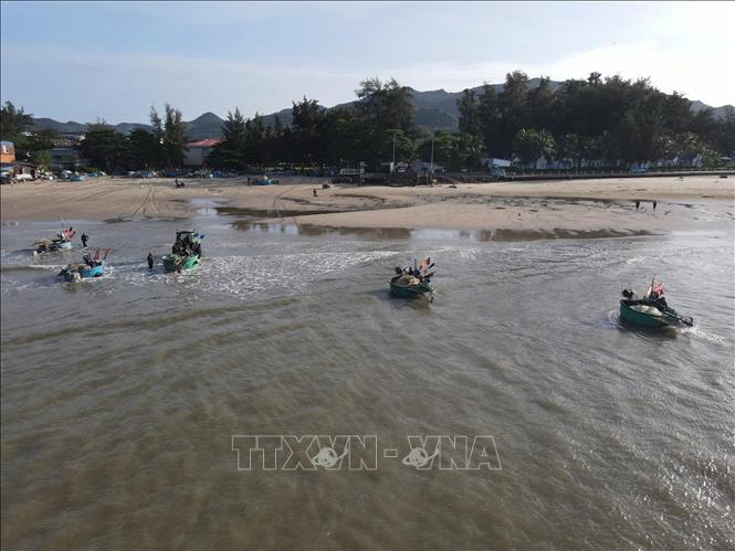Fisherfolk in Long Hai bring their coracle boats ashore after several hours catching anchovies. VNA Photo: Hoàng Nhị