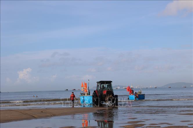 Fisherfolk in Long Hai bring their coracle boats ashore after several hours catching anchovies. VNA Photo: Hoàng Nhị