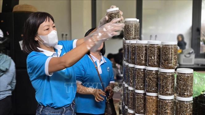 Người dân các xã phía Tây tỉnh Gia Lai kho cá gửi về cứu trợ đồng bào lũ lụt. Ảnh: Hồng Điệp - TTXVN