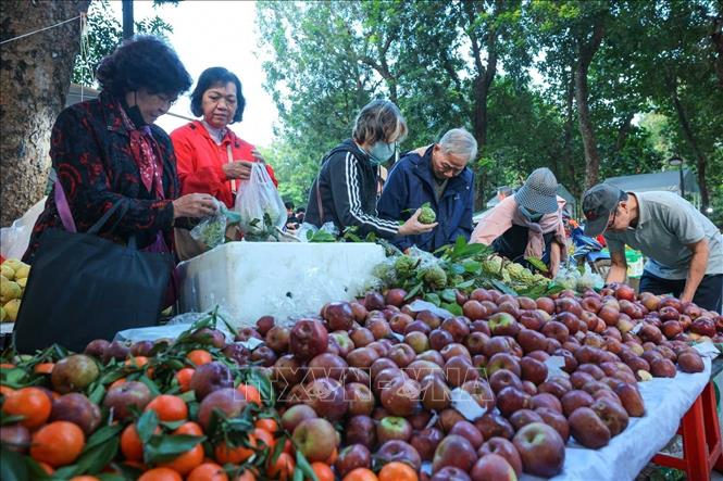 Các gian hàng tại Festival thu hút đông đảo người dân và du khách đến tìm hiểu, mua sắm, khám phá. Ảnh: Hoàng Hiếu - TTXVN