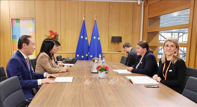 Thứ trưởng Bộ Ngoại giao Lê Thị Thu Hằng làm việc với Cố vấn đối ngoại của Chủ tịch Hội đồng châu Âu, Veronika Musilova. Ảnh: Hương Giang - PV TTXVN tại Bỉ