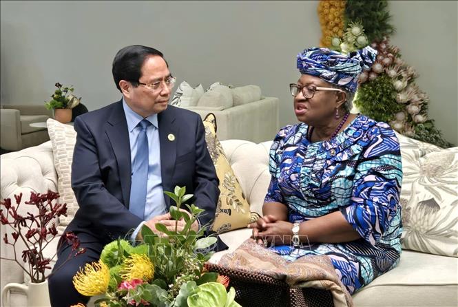 Prime Minister Pham Minh Chinh meets World Trade Organisation Director-General Ngozi Okonjo-Iweala. Photo by courtesy/VNA 