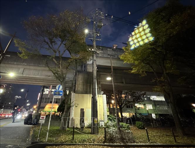 Thử nghiệm dùng đèn HoloLight để xua đuổi đàn chim tại công viên gần ga Hamamatsu (Shizuoka). Ảnh: Phạm Tuân - PV TTXVN tại Nhật Bản