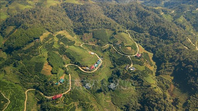 A curving road from Van Son commune to Xom hamlet. VNA Photo: Trọng Đạt