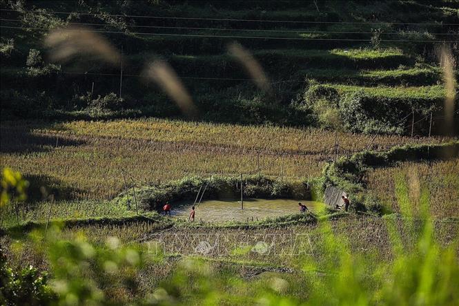A peaceful scene in Van Son commune. VNA Photo: Trọng Đạt