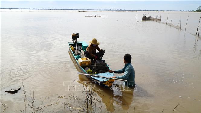 Nước lũ rút, ông Đoàn Văn Có ở phường Thường Lạc tranh thủ đi đặt lọp cá chạch trên đồng. Ảnh: Nhựt An - TTXVN