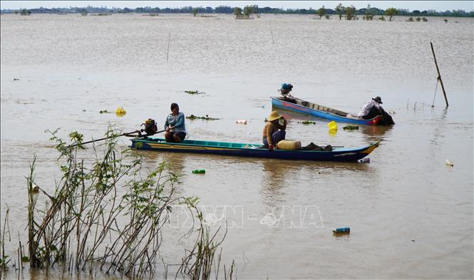 Nước lũ rút là thời điểm đánh bắt thủy sản nhộn nhịp của người dân ở khu vực đầu nguồn tỉnh Đồng Tháp. Ảnh: Nhựt An - TTXVN