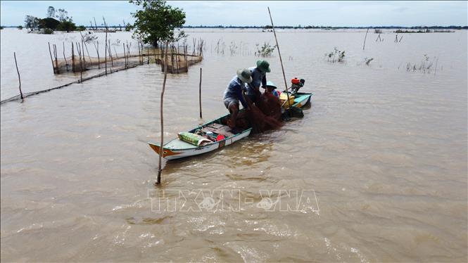 Người dân ở vùng đầu nguồn của tỉnh Đồng Tháp đánh bắt cá trên đồng. Ảnh: Nhựt An - TTXVN
