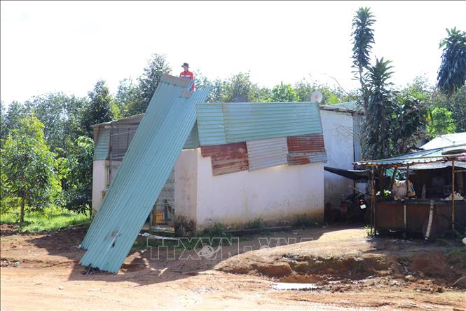 Người dân xã Đồng Tâm tháo dỡ nhà cửa di dời để bàn giao mặt bằng cho Dự án Đầu tư xây dựng đường cao tốc Bắc - Nam phía Tây đoạn Gia Nghĩa (Lâm Đồng) - Chơn Thành (Đồng Nai). Ảnh: Nhật Bình - TTXVN.
