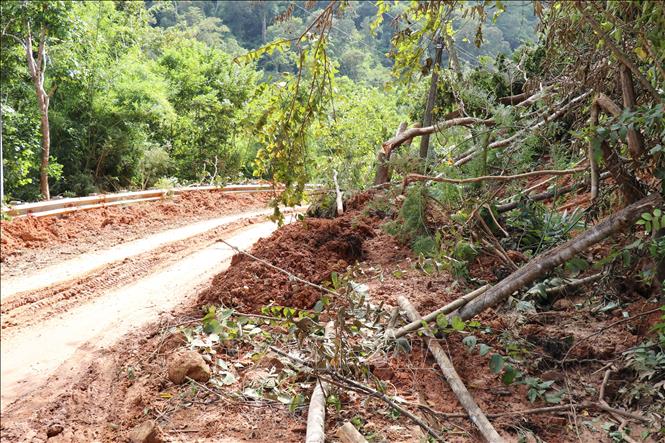 Sạt lở sườn núi cuốn theo đất đá, cây cối đổ xuống tuyến tỉnh lộ ĐT 707 (xã Bác Ái Tây, Khánh Hòa). Ảnh: Nguyễn Thành – TTXVN