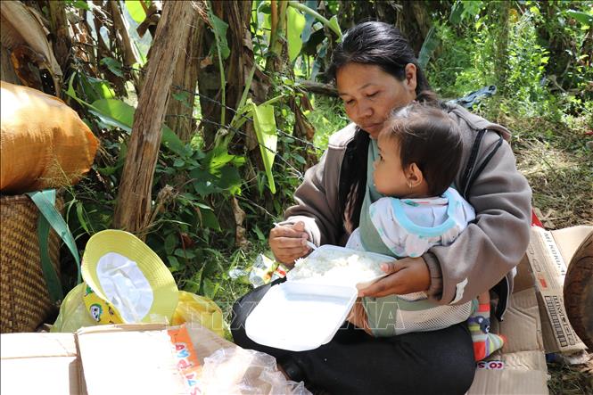 Hai mẹ con người Raglai ăn bữa cơm trên đoạn đường tỉnh lộ ĐT 707 (xã Bác Ái Tây, Khánh Hòa) khi giao thông trên tuyến đường này vẫn bị chia cắt. Ảnh: Nguyễn Thành – TTXVN