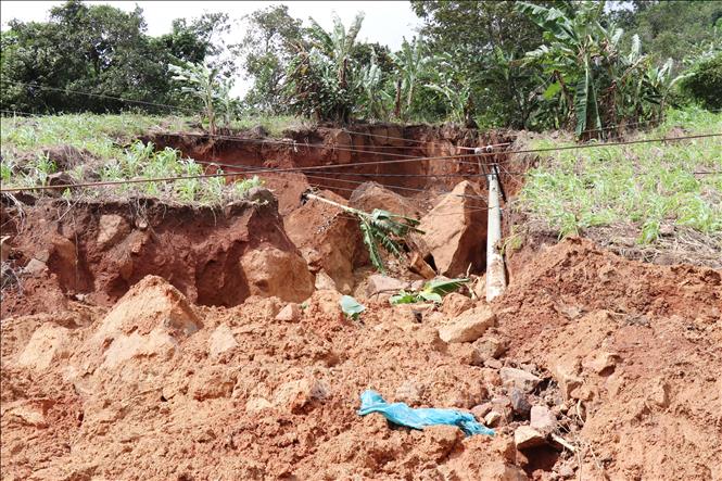 Mưa lũ làm sạt lở sườn núi khiến hệ thống đường dây điện dọc tuyến tỉnh lộ ĐT 707 (xã Bác Ái Tây, Khánh Hòa) bị ngã đổ. Ảnh: Nguyễn Thành – TTXVN
