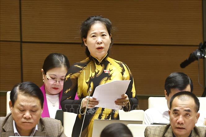 Đại biểu Quốc hội TP Cần Thơ Tô Ái Vang phát biểu. Ảnh: Doãn Tấn - TTXVN