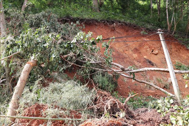 Sạt lở sườn núi khiến hệ thống đường dây điện dọc tuyến tỉnh lộ ĐT 707 (xã Bác Ái Tây, Khánh Hòa) bị ngã đổ. Ảnh: Nguyễn Thành – TTXVN