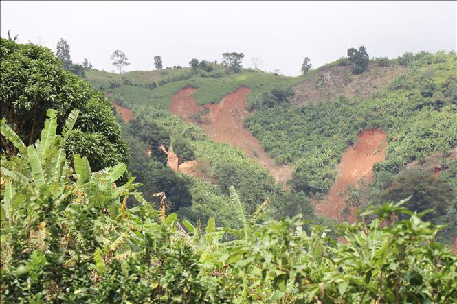 Nhiều điểm sạt lở nặng xuất hiện trên sườn núi tại xã Bác Ái Tây (Khánh Hòa). Ảnh: Nguyễn Thành – TTXVN