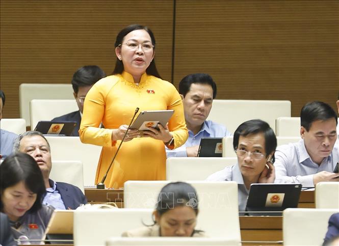 Đại biểu Quốc hội tỉnh An Giang Lý Anh Thư phát biểu. Ảnh: Doãn Tấn - TTXVN