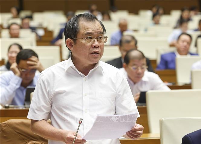 Đại biểu Quốc hội TP Hồ Chí Minh Nguyễn Tâm Hùng phát biểu. Ảnh: Doãn Tấn - TTXVN