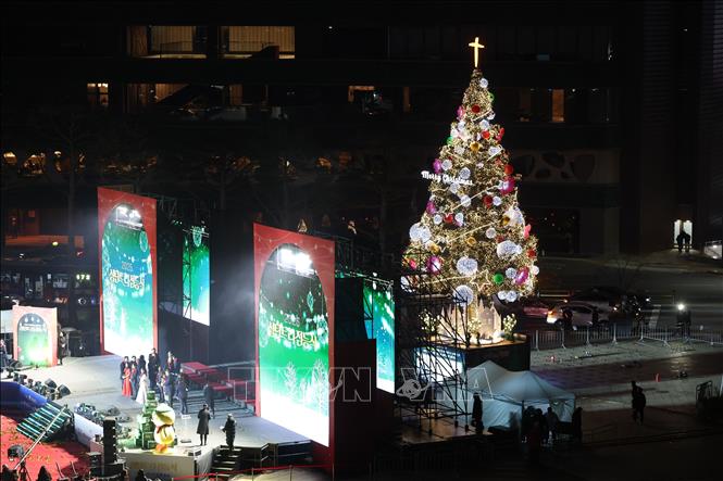 Cây thông lớn được thắp sáng tại Seoul, Hàn Quốc ngày 17/11/2025. Ảnh: Yonhap/TTXVN