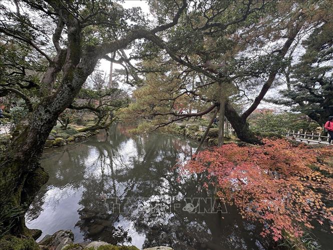 Một trong những điểm thu hút của Vườn Kenrokuen là hồ nước nhân tạo lớn mang tên Kasumigaike. Ảnh: Nguyễn Tuyến – PV TTXVN tại Nhật Bản