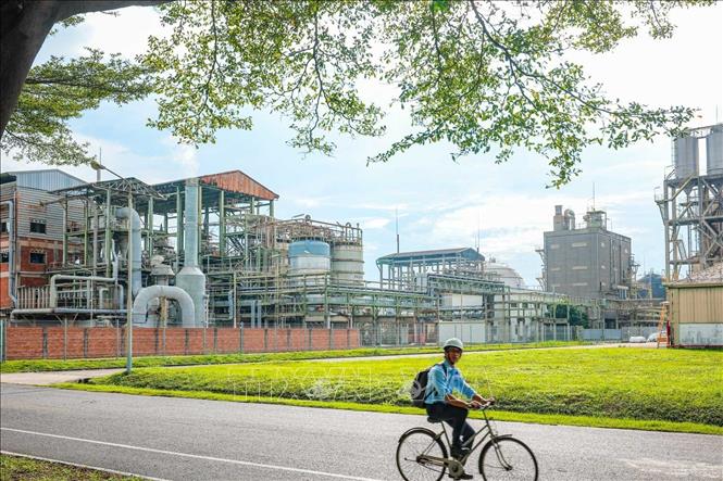 Quang cảnh nhà máy TCP VINA tại KCN Gò Dầu (Đồng Nai). Ảnh: Hoàng Hiếu - TTXVN