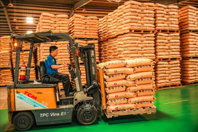 Các sản phẩm của TPC VINA chủ yếu tiêu thụ trong nước và 1 phần xuất sang Ấn Độ. Ảnh: Hoàng Hiếu - TTXVN