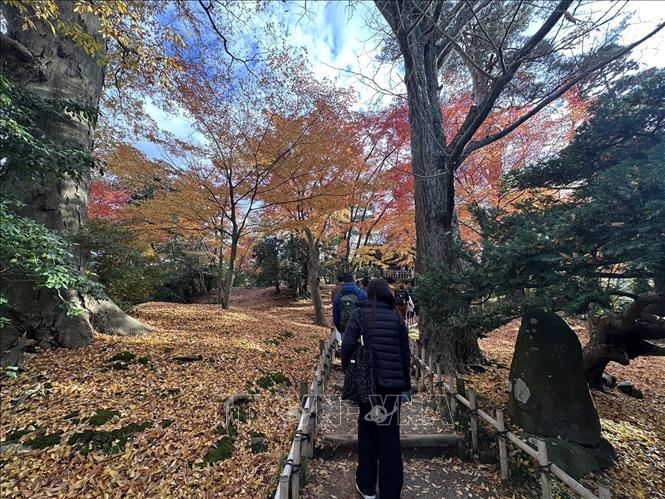 Lối đi lên một ngọn đổi nhỏ của Kenrokuen. Ảnh: Nguyễn Tuyến – PV TTXVN tại Nhật Bản