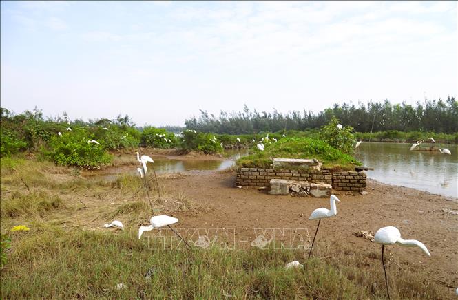 Khu vực bãi bồi ven biển ngoài đê chắn sóng của xã An Châu (tỉnh Nghệ An) cũng bị biến thành khu vực bẫy, bắt chim hoang dã quy mô lớn. Ảnh: Xuân Tiến - TTXVN 