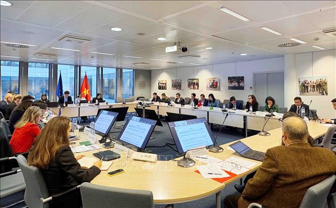 Quang cảnh phiên họp. Ảnh: Hương Giang - PV TTXVN tại Bỉ