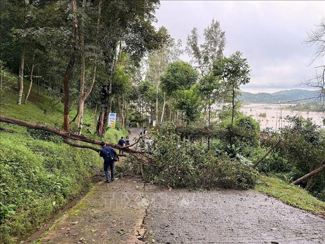 Các vết nứt lớn tại khu vực có nguy cơ sạt lở ở đồi Yang Yeh, xã Hòa Sơn, tỉnh Đắk Lắk Ảnh: TTXVN phát