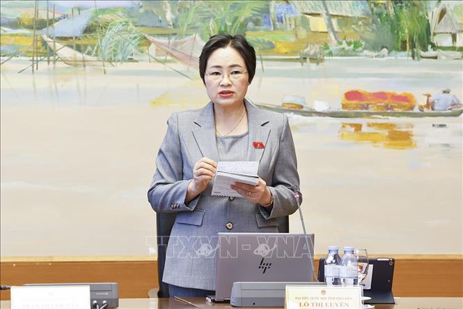 Đại biểu Quốc hội tỉnh Điện Biên Lò Thị Luyến phát biểu. Ảnh: Doãn Tấn - TTXVN