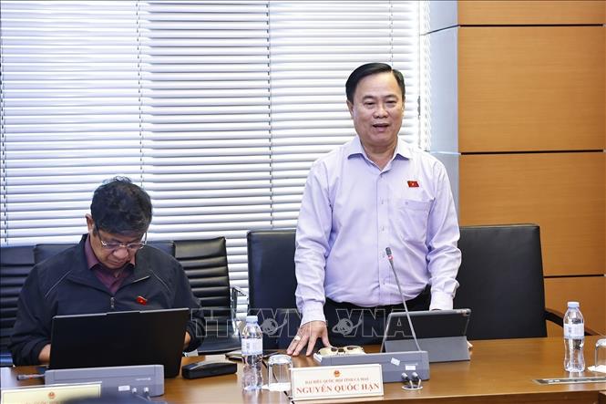 Đại biểu Quốc hội tỉnh Cà Mau Nguyễn Quốc Hận phát biểu. Ảnh: Doãn Tấn - TTXVN