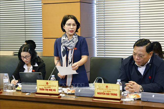 Đại biểu Quốc hội TP Hà Nội Trần Thị Nhị Hà phát biểu. Ảnh: Doãn Tấn - TTXVN