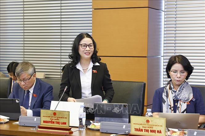 Đại biểu Quốc hội TP Hà Nội Nguyễn Thị Lan phát biểu. Ảnh: Doãn Tấn - TTXVN