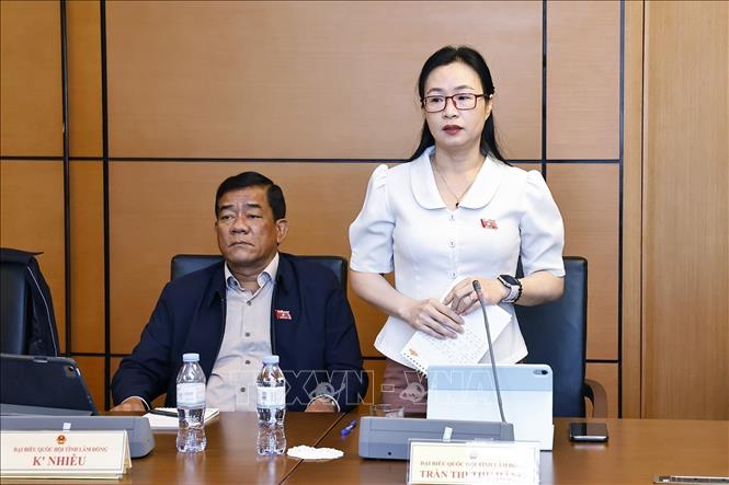 Đại biểu Quốc hội tỉnh Lâm Đồng Trần Thị Thu Hằng phát biểu. Ảnh: Doãn Tấn - TTXVN