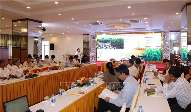 Quang cảnh Hội thảo. Ảnh: Thu Hiền - TTXVN