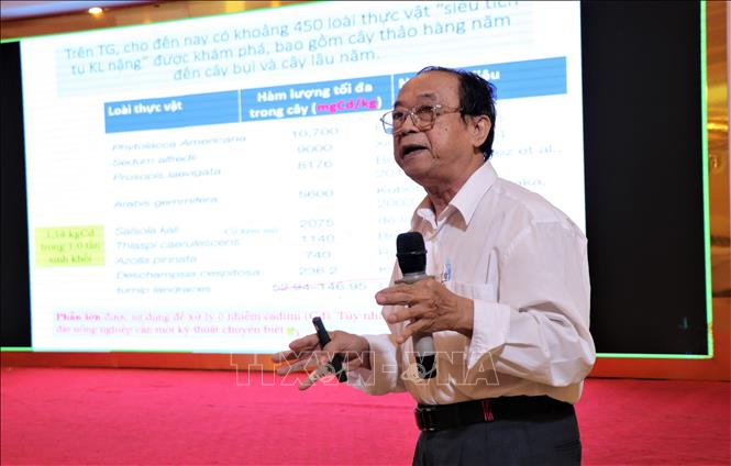 Giáo sư - Tiến sĩ Ngô Ngọc Hưng, Trường Nông nghiệp (Đại học Cần Thơ), chia sẻ giải pháp giảm thiểu hấp thu Cadimi từ đất vào nông sản. Ảnh: Thu Hiền – TTXVN 