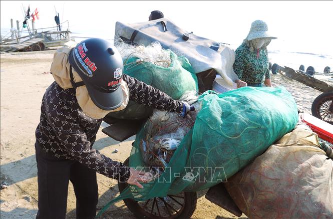 Sau một chuyến vươn khơi khai thác, mỗi bè mảng mang về từ 30 đến 60 kg ghẹ biển. Ảnh: Xuân Tiến - TTXVN 