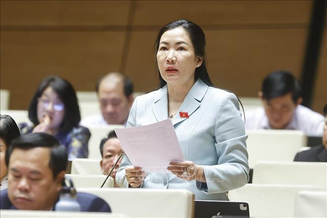 Đại biểu Quốc hội tỉnh Quảng Ngãi Trần Thị Thu Phước phát biểu. Ảnh: Doãn Tấn - TTXVN