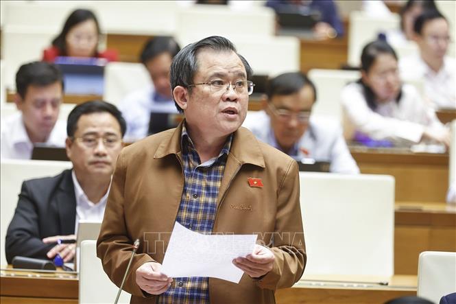 Đại biểu Quốc hội TP Hồ Chí Minh Nguyễn Tâm Hùng phát biểu. Ảnh: Doãn Tấn - TTXVN