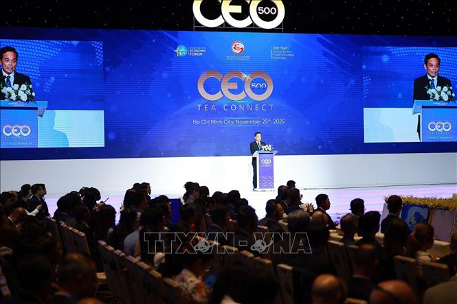 Chương trình CEO 500– TEA CONNECT. Ảnh: Dương Giang-TTXVN
