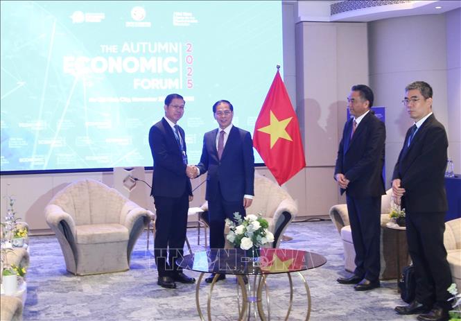 Deputy Prime Minister Bui Thanh Son receives Lao Deputy Minister of Technology and Communications Saysana Sitthiphone. VNA Photo: Hứa Chung